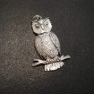 owl-pendant-silver-gold-eyes-07352.jpg