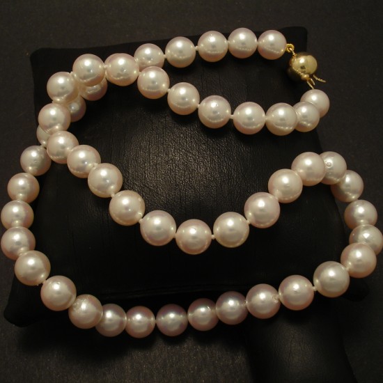 8.5mm Akoya Round Pearls, Creamy, 9ct Gold Clasp - Christopher William ...