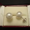11mm-white-south-sea-pearls-18ctwhite-gold-studs-03428.jpg