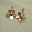 pansy-earrings-solid-9ctrose-gold-10880.jpg