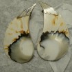 spectacular-hcut-shell-silver-stud-earrings-10646.jpg