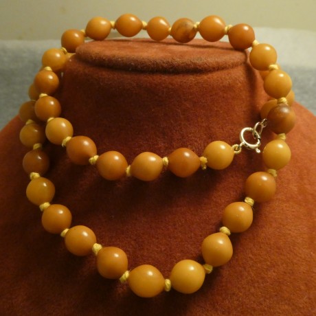 amber-old-english-necklace-butterscotch-50339.jpg